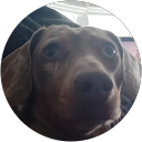 eerene D. profile picture